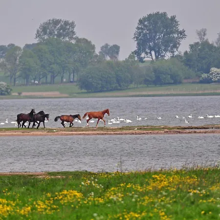 Apartamento Fip-ferienpark - Insel Poel-1 By Interhome Gollwitz